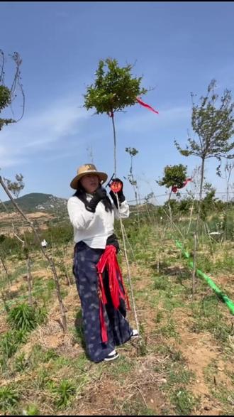 养一盆沂蒙小叶紫薇,家里变美啦!