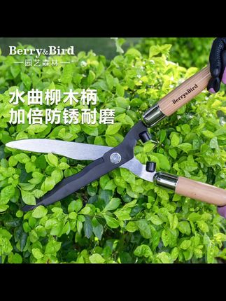 Berry&Bird园艺绿篱剪草坪修剪粗枝专用果树大剪刀家用园林绿化带#好物推荐 #大剪刀 #修剪 #绿篱剪 #园艺绿篱剪