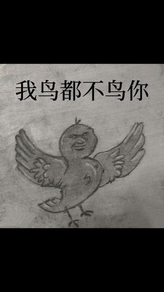 #我鸟都不鸟你 #抽象 #表情包 今天来抽象一下