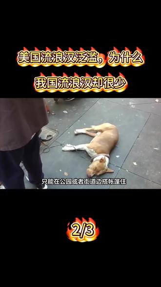 美国流浪汉泛滥,为什么我国流浪汉却很少,他们都去哪了?