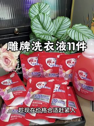 洗完整个都是香香的,还是雕牌大品牌的,关键下这个价格到手11件,也太划算了#雕牌洗衣液 #洗衣液推荐 #种草好物 #居家好物 #生活用品