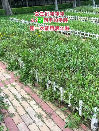 女生们快看过来,安睡裤的大活动,6.9到手10条装,轻薄透气夏季不闷热,囤一次能用很久啦!#好物推荐🔥 #安睡裤 #超便宜超划算