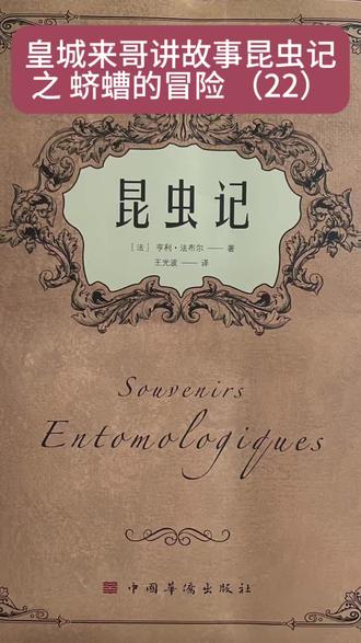 皇城来哥讲故事:昆虫记之蛴螬的冒险(22)