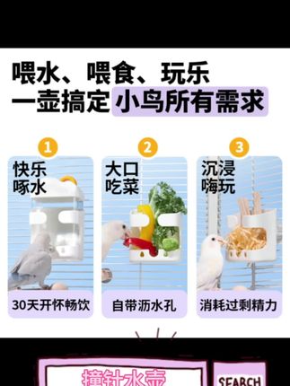 #鹦鹉 #鹦鹉好物分享 #鹦鹉鹦鹉萌萌哒逗鹦鹉