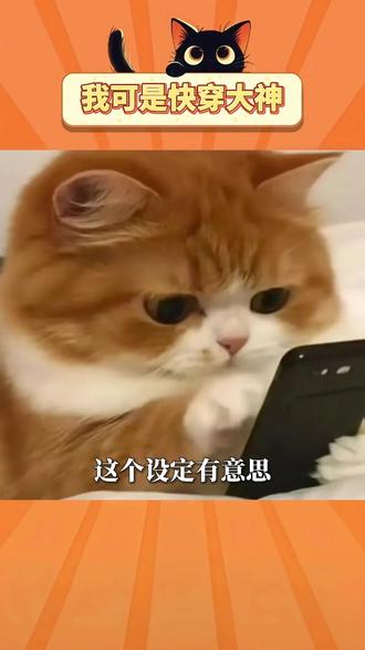我可是快穿大神 #祁止 #攻略 #bot #猫箱 #优质