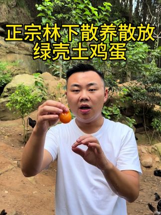 像乒乓球的土鸡鸡蛋你吃过吗?#散养土鸡蛋