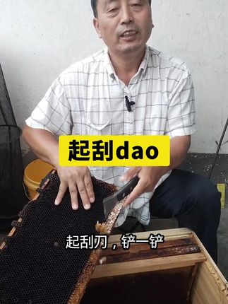 养蜂工具,起刮刀#养蜂工具