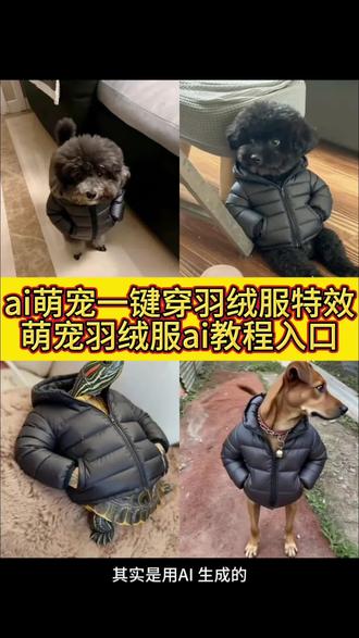 天冷了给家里小动物穿件羽绒服教程 萌宠穿羽绒服教程来了 ai萌宠一键穿羽绒服特效入口 ai萌宠穿羽绒服怎么做 ai萌宠一键穿羽绒服 ai萌宠一键穿羽绒服特效 ai萌宠一字马特效拍同款 ai萌宠穿东北大花棉袄教程 婴儿羽绒服 巴哥犬 宠物羽绒服成爆款 这才是大孩子该穿的毛绒外套 天冷了该给宠物们穿棉衣了 #天冷了给家里小动物穿件羽绒服 #即梦ai #ai萌宠一键穿羽绒服 #乌龟羽绒服 #小狗羽绒服 ai萌宠服装视频生成 ai萌宠穿羽绒服 ai萌宠穿羽绒服怎么做 乌龟羽绒服ai生成 乌龟羽绒服视频ai生成 乌龟羽绒服ai生成口令 乌龟羽绒服ai制作教程 乌龟羽绒服怎么搭配 乌龟羽绒服怎么穿的 萌宠一键穿羽绒服ai制作方法 萌宠一键穿羽绒服特效入口 萌宠一键穿羽绒服特效指令 萌宠一键穿羽绒服特效入口 萌宠一键穿羽绒服生成方法 萌宠一键穿羽绒服教程入口 萌宠一键穿羽绒服一键剪同款