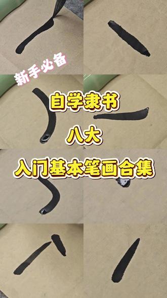 新手小白,隶书必练八大基本笔画合集 1.横画
2.竖画
3.撇画
4.捺画
5.钩画
6.点画
7.折画
8.挑画
#隶书 #自学书法 #书法入门 #书法基本笔画 #曹全碑