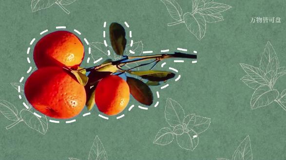 为什么一到过年大家就狂炫砂糖橘 #抖音年味争霸赛 #橘时到 #砂糖橘