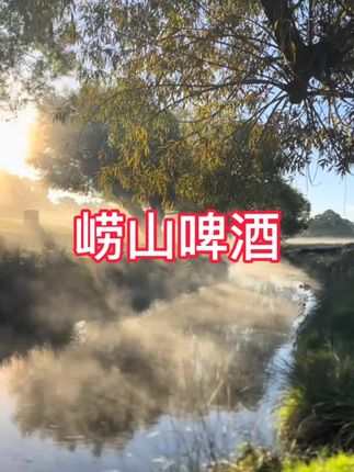 崂山啤酒#超便宜超划算 #啤酒 #好喝不贵 #在抖音入手的好东西 #谁懂啊真的很好喝
