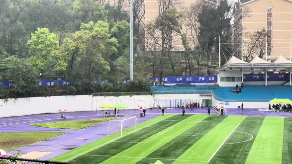 从此再无800米#重庆体考 #体考状元 #上岸