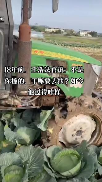 自从彭宇一案结束后,他作为法官的名声受到了极大的影响,就因为他的那句——“不是你撞的,你干嘛扶?”造成了影响面太大了,直接让社会风气倒退了几十年,出现了许多碰瓷的现象,一时间,社会上没人敢扶人了,生怕被讹上。这对于我们这个讲究礼仪尊老的国度,着实影响太大。反观徐寿兰老太太一家,虽然当年的事情说不清谁对谁错,但从大众的角度来看,老太太一家确实是“反面形象”。
当年案子了结之后,老太太一家没少受到街坊四邻的指指点点:连年轻人的钱都坑害,真是不要脸骂的人太多了,渐渐的人们就默认了真相是自己想象的那样。
受说了那句话的影响,王浩法官被调到偏远司法所,曾经风风光光的主审法官,如今却变成了一个基层小干部,网友不禁调侃——实在是令人唏嘘。#王浩#人物故事#抖音站外播放激励计划#抖音创作者激励计划#抖音小助手