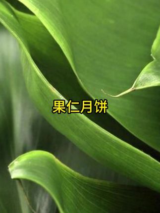 #月饼 这么实在的商家是真不多见了#太好吃了 #好吃到停不下 #月饼 这么实在的商家是真不多见了#太好吃了 #好吃到停不下来 #好吃不贵经济实惠 #强烈推荐