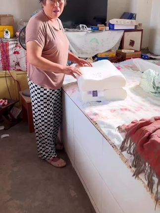 俞兆林【拍1发 2】五星级酒店专用护颈气凝记忆枕零压慢回弹记忆枕