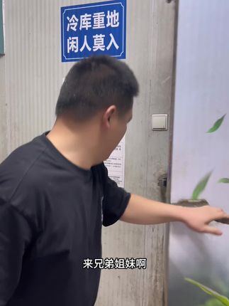 安溪正味铁观音茶叶#安溪铁观音#正味铁观音 #铁观音#茶叶#茶马说