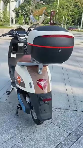 万仕龙电动车后备箱通用适用雅迪爱玛台铃绿源储物电瓶后靠背加厚 #强烈推荐 #电动车 #安全骑行 #自行车车筐车篮子 #电瓶后靠背
