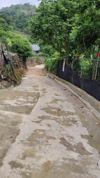 自摘杨梅园,导航直接到果园,欢迎大家上门自摘