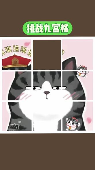 #吾皇猫 @猫猫猫猫猫
