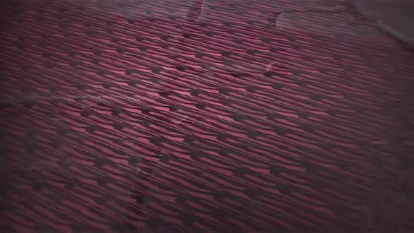 六跪二螯的螃蟹 其实滋味也很好 #剑来 #崔东山 #文圣老秀才