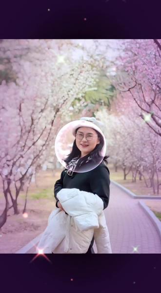 九龙湾梅园的梅花盛开,可以去赏花啦#九龙湾梅园#梅花#威海春天去哪儿赏花