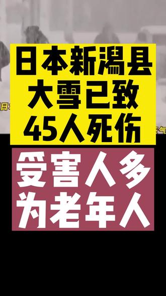 日本新潟县大雪已致45人死伤 受害人多为老年人