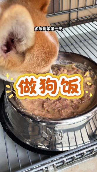 到家第一天按照原主人的方法给多米做了狗饭,它很爱吃#宠物喂养心得 #狗食 #柯基喂养 #宠物饮食 #宠物日常饮食