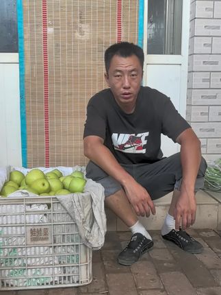 #抖音热点宝入口 皇冠梨,开始了!#新鲜采摘 #脆甜多汁 #应季水果 #助农水果