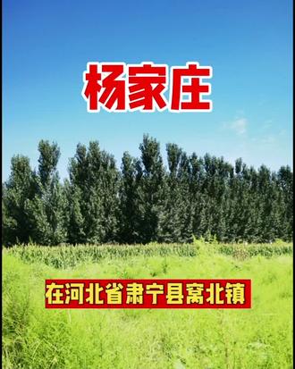 城内一杨姓居民,被迫西迁,取名#杨家庄#每天学习一点点 #涨知识 #正能量传递