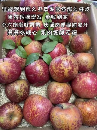 谁能想到那么丑的苹果居然可以这么好吃啊,果农现摘现发新鲜到家,个大饱满鲜灵灵的,皮薄肉厚一口下去脆嫩爽口果肉细腻无渣,满满的溏心,吃一口就爱上啦!!#新鲜应季水果 #冰糖心苹果 #口感特别好 #谁懂这一口的好吃程度 #快来一起尝个鲜