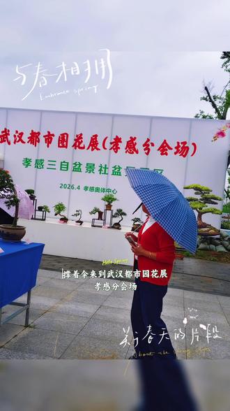 快来一起赏花吧,孝感奥体中心花展开始啦!#春日赏花好去处 #治愈系风景