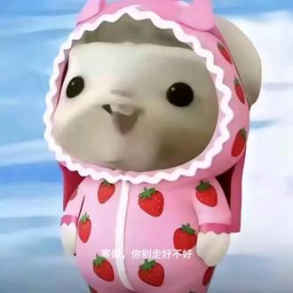 #寒假别走 寒假,你别走好不好
寒假,你能不能慢一点,再慢一点,别就这样匆匆离开,好不好?
我多希望时间能停在那些不用被闹钟惊醒的清晨,停在阳光漫过窗台、不必匆忙赶路的午后,停在万家灯火温柔、不必为明天焦虑的夜晚。那些不用追赶进度、不用面对压力、不用强装坚强的日子,是我整个冬天最珍贵的温柔。我贪恋被窝里的暖意,贪恋不必紧绷的松弛,贪恋可以安心发呆、肆意欢笑的时光,贪恋那些不用隐藏情绪、不用勉强自己的瞬间。
可你还是要走了,像一场不愿醒来的梦,轻轻一碰,就碎成了满地的遗憾。我站在时光的路口,伸手想抓住你离去的衣角,却只握住满手的冷风与不舍。我知道留不住你,却还是忍不住轻声恳求:寒假,你别走好不好?
我还没来得及好好享受这份安逸,还没把心里的温柔与欢喜都安放妥当,还没和无忧无虑的自己好好告别。你一走,那些轻松与温暖便会被匆忙取代,那些柔软与安心,也会被藏进回忆里。原来最让人难过的,不是从未拥有,而是明明真切拥有过,却不得不眼睁睁看着它消失。
风渐渐凉了,日子又要回到忙碌与奔波里,可我心里,还一遍遍念着那句没说出口的话:寒假,留下来,好不好?我真的,好舍不得你。