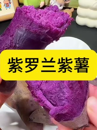 #紫薯 #新鲜现挖 #软糯香甜 #紫罗兰紫薯 #健康食品推荐