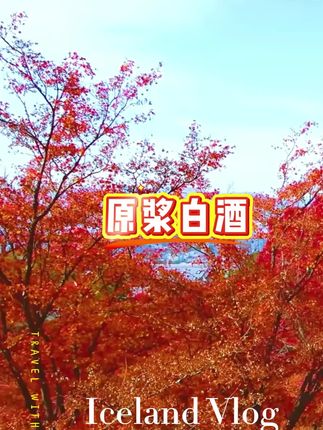 #白酒#原浆白酒#清香型白酒