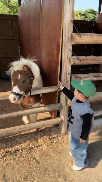 周末就应该浪费在没有天花板的地方☀️
三刷JoJo自然牧场🐫🐑🐎🦌🐫🐢🐖🦜🦚🐇🦙
感受大自然与小动物带来的乐趣,没有烦恼,只有快乐!
#周末时光 #亲子游玩好去处 #jojo自然牧场 #零距离接触动物