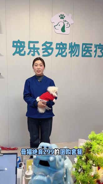 公猫母猫绝育,有需要的可以团购下单#公猫绝育 #宝丰宠乐多 #平顶山宠物医院 #石龙区