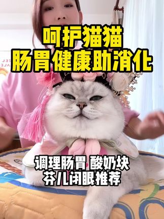 #猫粮推荐 #猫粮测评 #猫粮推荐性价比高排行榜 #养猫新手