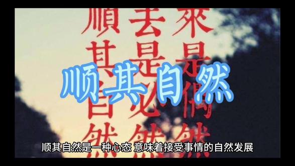 成语:顺其自然#抖音创作者大会#顺其自然