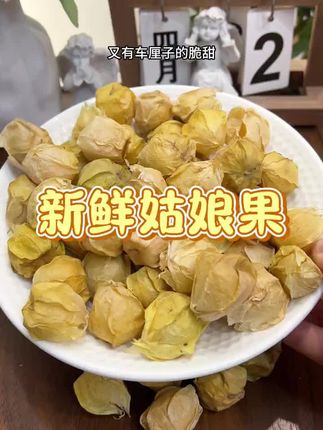 #姑娘果 #新鲜姑娘果 #姑娘果推荐