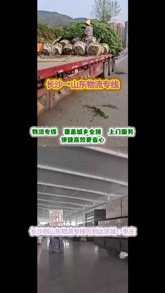 长沙到山东物流专线 。 (𝟭𝟯𝟭,𝟴𝟵𝟵𝟵,𝟲𝟭𝟲𝟭)。可到达区域:枣庄-青岛-临沂-聊城-济宁-德州-济南-烟台-威海-莱芜-淄博-菏泽-滨州-潍坊-东营-日照-泰安。私家车专业封闭托运,牢固固定车身,车辆跨城转运安全可靠#长沙到山东物流专线 #物流公司 #搬家公司 #行李托运 #物流专线