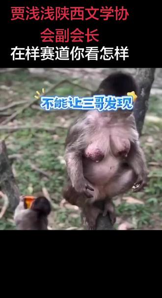 #搞笑
道道道道无道胜有道