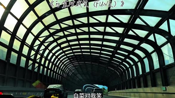 白菜对我笑funk.#白菜对我笑 #音乐分享