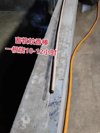 夏天养殖场必备蚊香棒,点燃五分钟见效!#畜牧蚊香棒 #农村创业养殖 #三农养殖 #养猪人