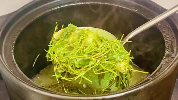 灯盏菜又名(雷公根、积雪草)家里有人喉咙肿痛、口腔溃疡可以试试煲这个汤哦。PS:记得连根煲哦,最好和鸡一起煲。鸡汤本身就有调养作用