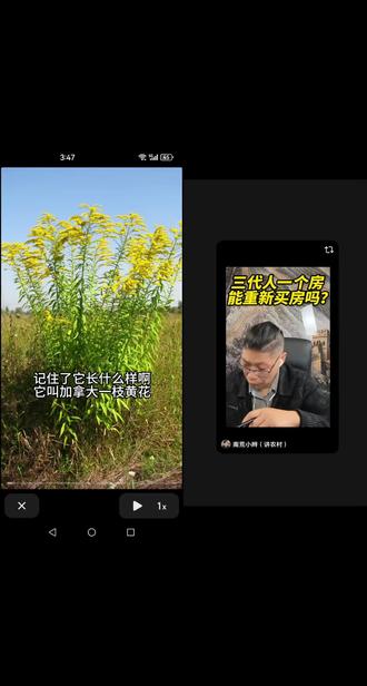 没分户不给房产地,没有房产证不能分户!!