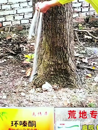 视频同款在主页我的商品橱窗购买#环嗪酮除大树竹子灌木杂草 #环嗪酮 #三农流量扶持计划