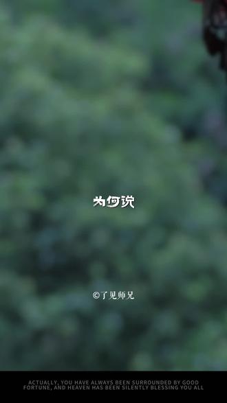 立春很重要,“四个忠告”要记牢 #立春 #国学文化 #国学智慧 #传统文化