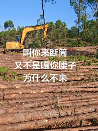 我的工地好不好做你们说的不算…………#抓木机 #一份耕耘一份收获 #伐木工砍伐 #林业人