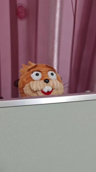 扭扭棒教程丨河狸变身计划丨梅宝🐹·中 河狸—梅宝:
耳朵:1cm✖️1cm;
脑袋宽:7cm,4张擦脸巾;
脑袋高:6.5cm,到下巴;
身体宽:8.5cm,5张擦脸巾;
全身高:12cm;
屁股宽:9cm;
手臂长:2cm;
手臂宽:3cm~1cm;
大腿宽:4cm;
腿长:4cm;
小腿宽:2cm。
#扭扭棒教程 #迪士尼 #皮克斯 #河狸变身计划 #河狸梅宝