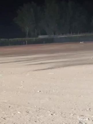 #男人的快乐就是这么简单 #猎犬热爱